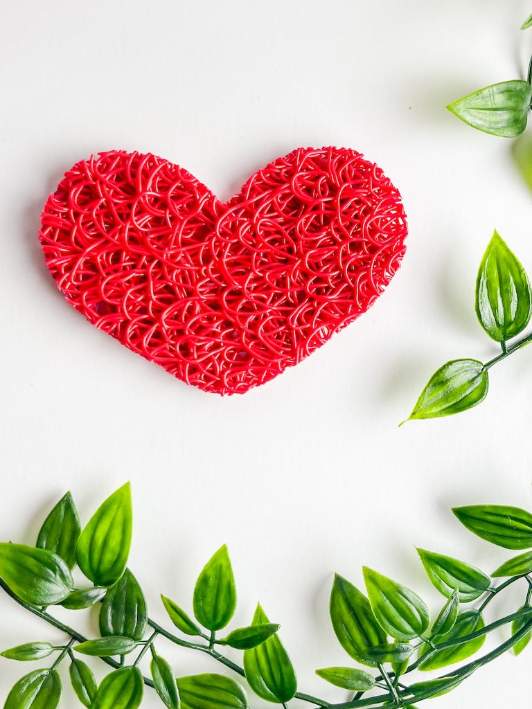 Bio Plastic Soap Lift - Heart